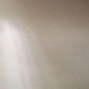 Meet your Posher, Wismiguel